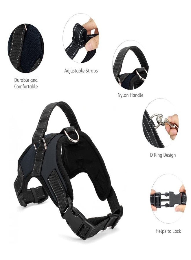 KittuPet حزام صدر للكلاب من KittuPet، حزام قابل للتعديل للكلاب الكبيرة والصغيرة والمتوسطة الحجم والقطط والأرانب وجميع سلالات الحيوانات (كبير، أسود) - Image 2